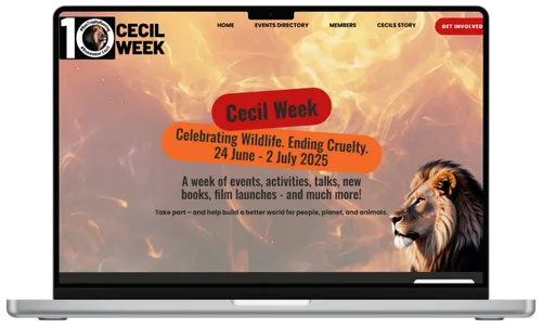 creative web design